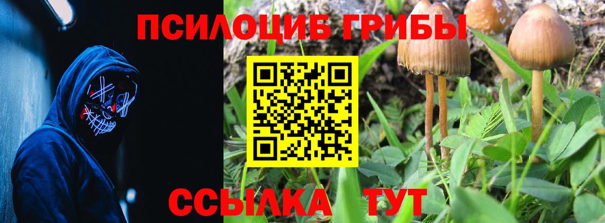 Псилоцибиновые грибы GOLDEN TEACHER  Вход с VPN  Белгород 